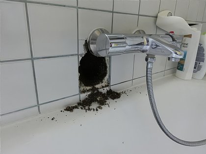 Thermografische Untersuchung Bild2