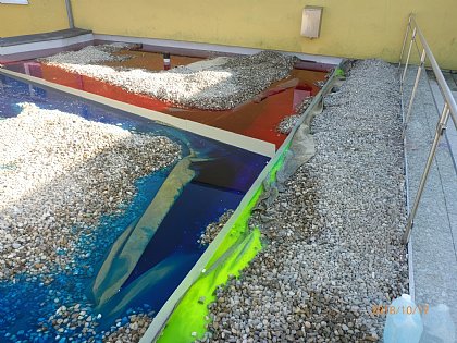 Klicken Sie hier für Informationen über die Farbwasserflutung