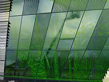 JKU - Linz / Glasfassadenprüfung